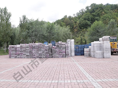 樹(shù)莓果冷凍