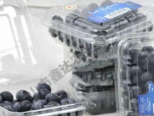 藍莓果
